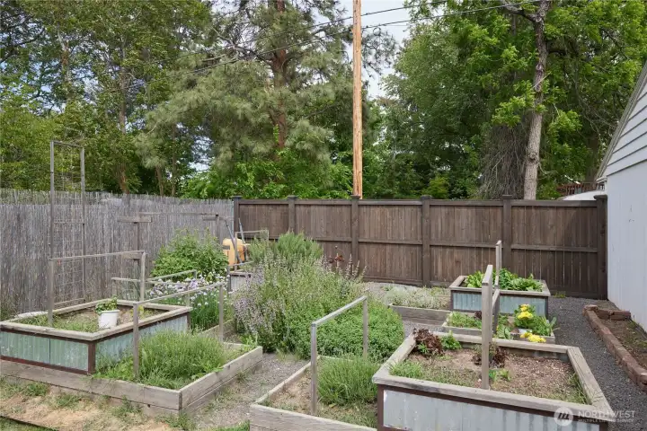 garden