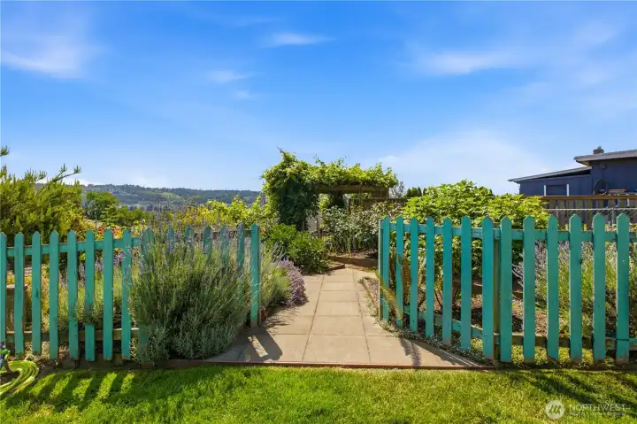 Garden area in back yard.  Mature perennial plants and shrubs.