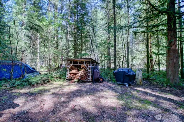 Great space and comes with a wood shed