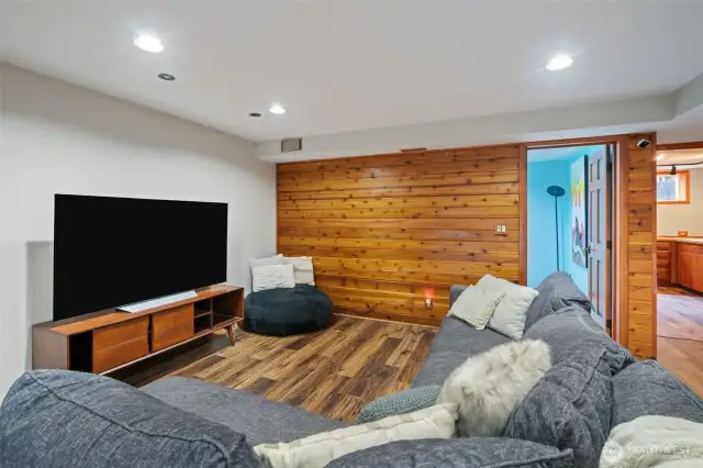 Lower level entertainment Room
