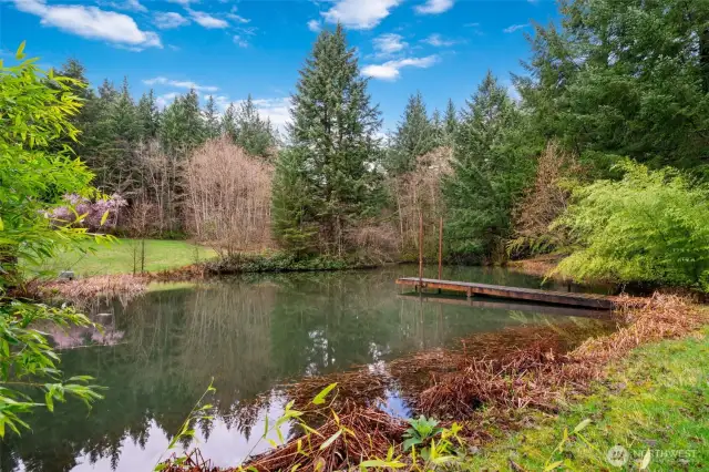 Pond