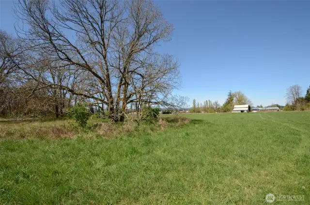From Back of property line