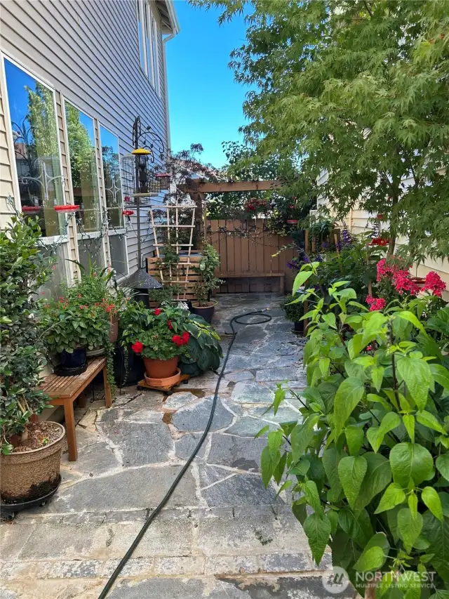 An example of how the backyard can look. Add a few potted plants & Voila!