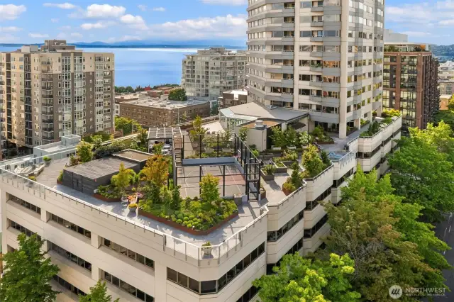 Indoor lap pool (reservable), hot tub, sauna, locker rooms, gym, sports court for pickleball, volleyball, badminton, or basketball, guest suite, and social room. Rooftop deck with walking track (9 laps = 1 mile), fire pit, outdoor kitchen, garden plots, and sweeping city and fireworks views.