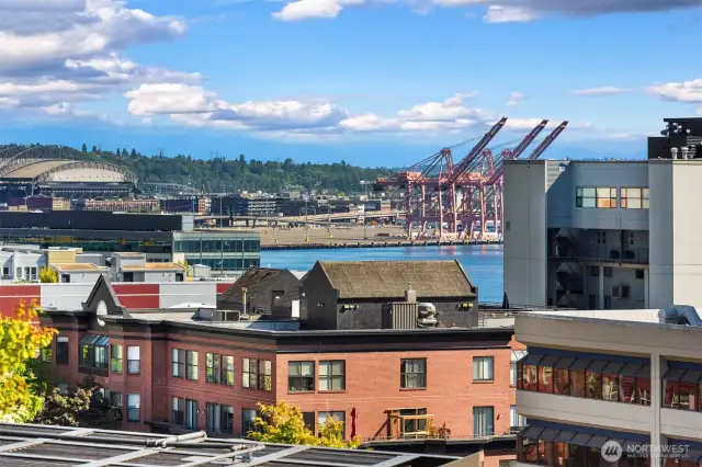 Views of Elliott Bay from the unit.