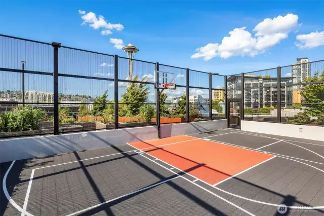 Multi-sport court for basketball, badminton, and pickleball.
