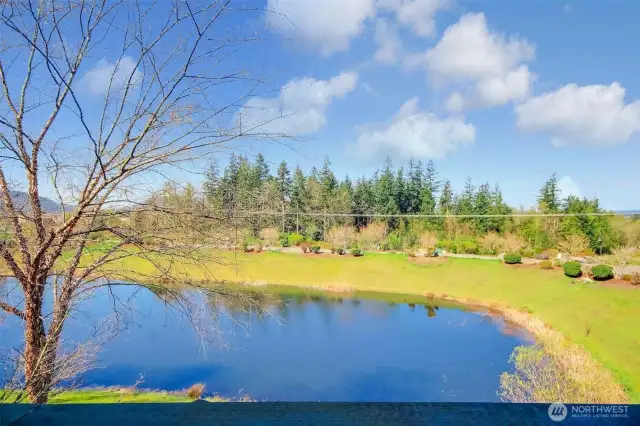 Enjoy the view from the living room, dining room and kitchen