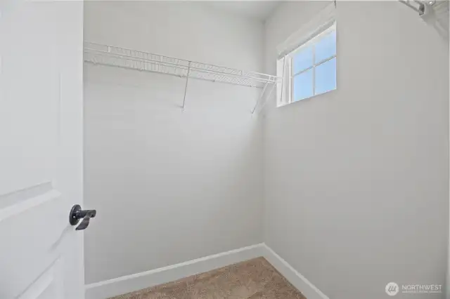 Walk-in closet in Bedroom #3