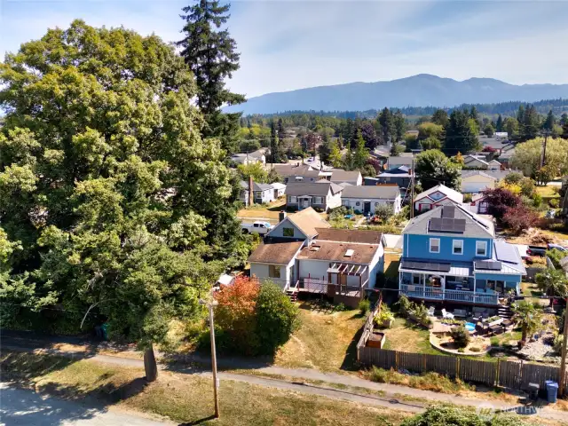 View of backyard and alley