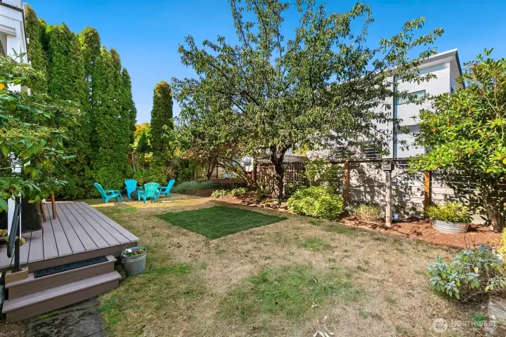 Looking back towards the shed area (NW) - beyond the trees is the RV parking pad (off of 28th).