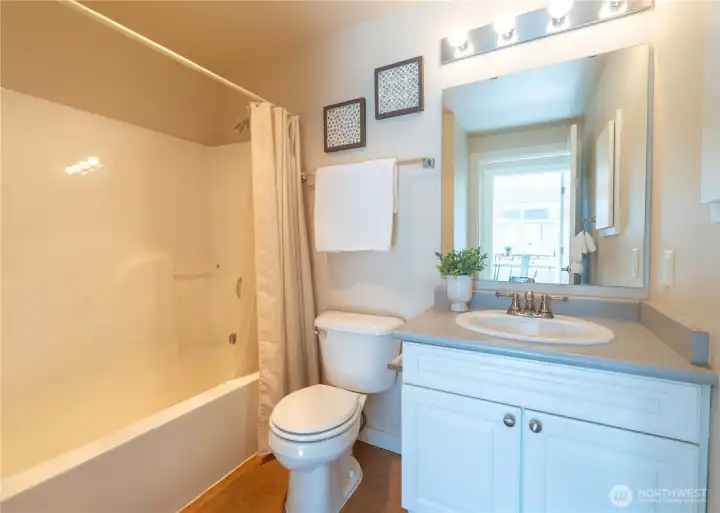 Guest full bathroom