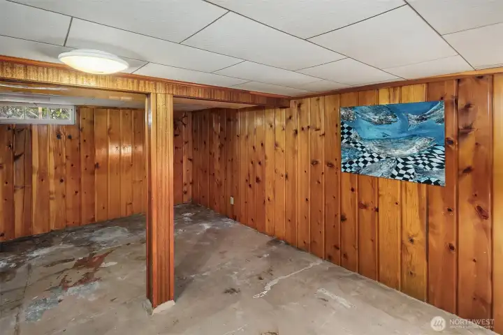 partially finished lower level room