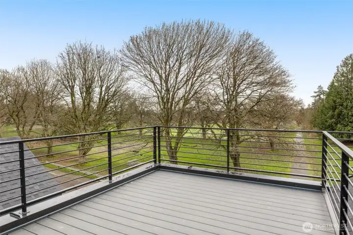 Private rooftop deck with panoramic views of Brighton Playfield.