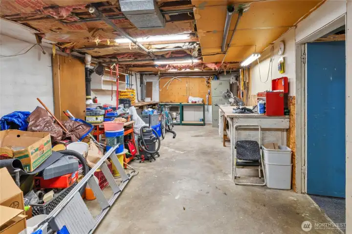 Shop area in basement for more places to expand into!