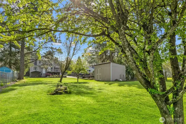 Another view of back yard and extra large storage shed 10' X 20' with power to it too.