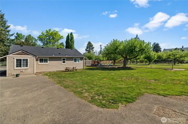 Back yard with mature fruit trees