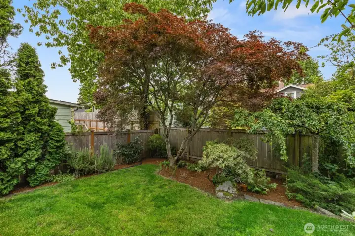 Private backyard with a lush green backdrop