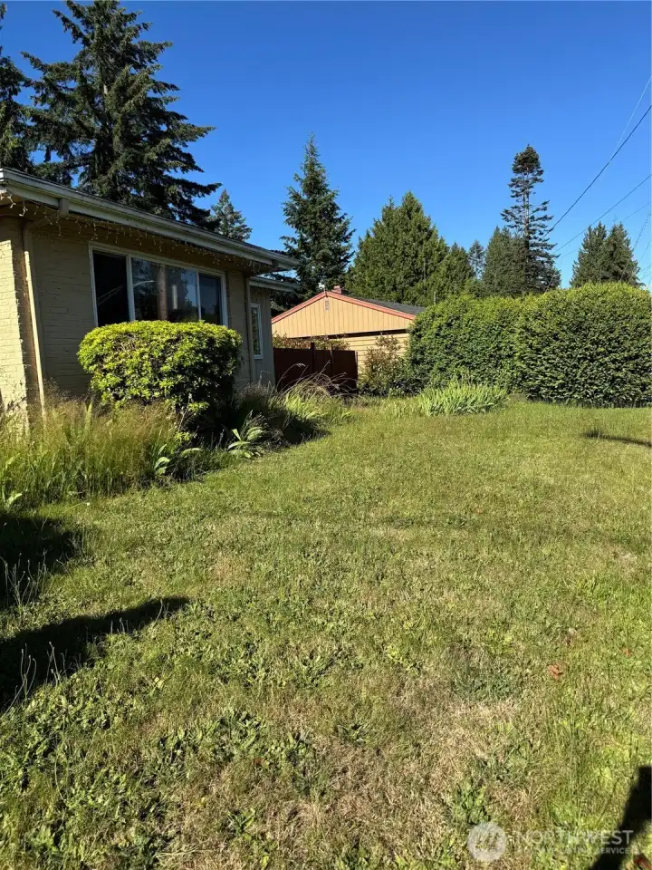 Front yard. Home faces South Front yard. Home faces South