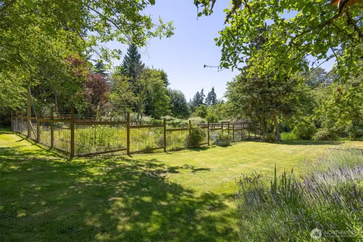 40x80 fenced garden. 40x80 fenced garden.
