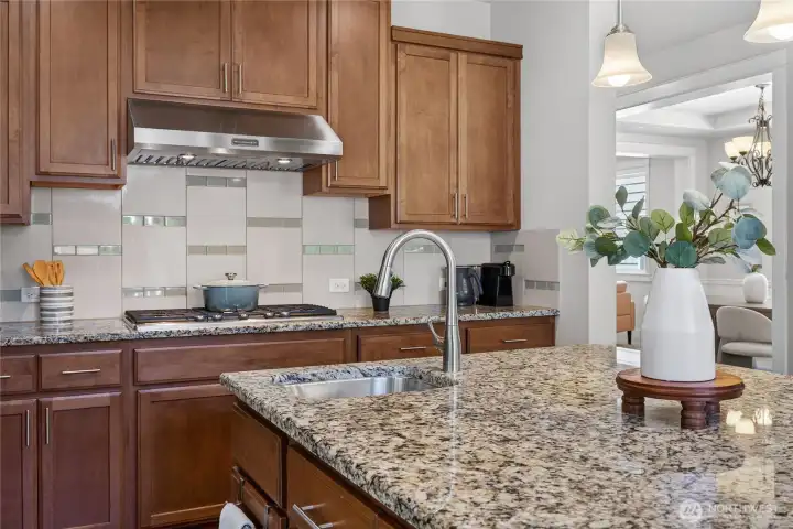 Gas range with a preferred updraft system and an additional sink in the center island.