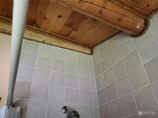 Ceiling above the Tub