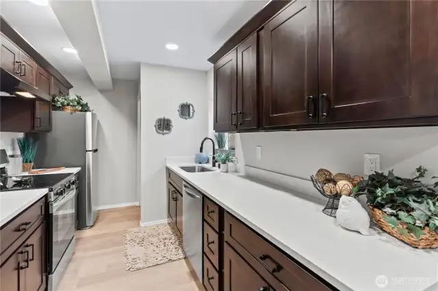 B/Lower Floor: Kitchen #2. Laundry Closet is directly across from the Fridge. New Espresso Cabinets w/Quartz Counters and Backsplash. Stainless Appliances.