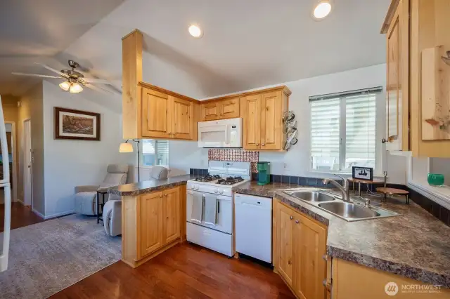 Kitchen, Gas Stove, Dishwasher