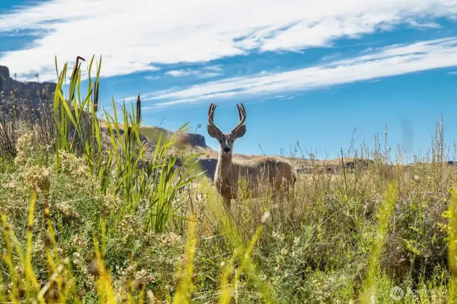 Minutes to the Columbia National Wildlife Refuge, 30,000 acres