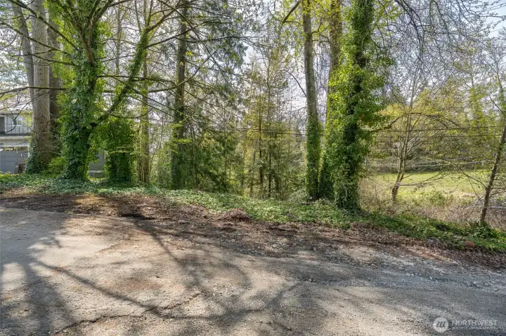 Front of the property