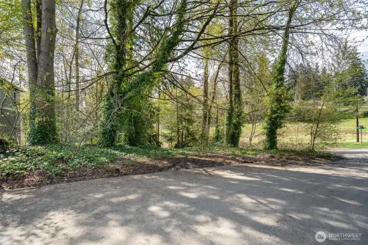 Full view of the corner lot