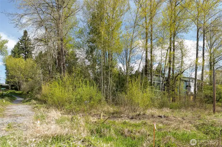 View from the pipeline