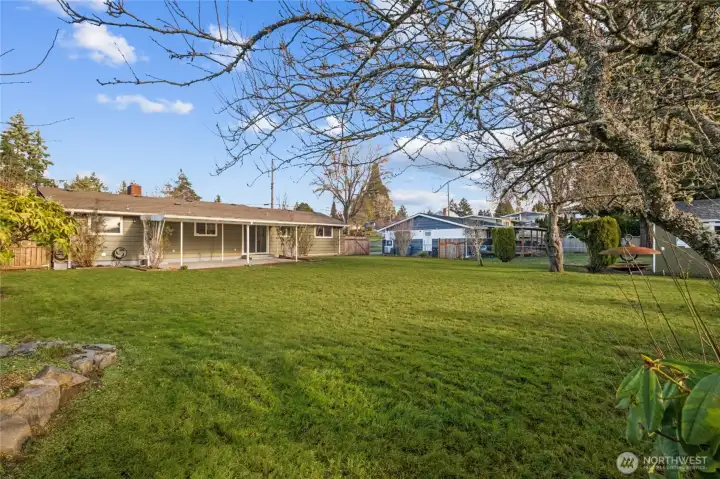Here's a view of the backyard from one corner. Home is on sewer so you can play volleyball, put in a pool, or even a pickleball court!!!
