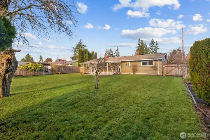 Looking the other way there are fruit trees in the backyard too.