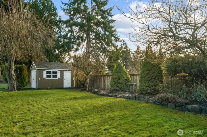 A closer look at the shed with two doors, and some established shrubbery near the back of the yard.