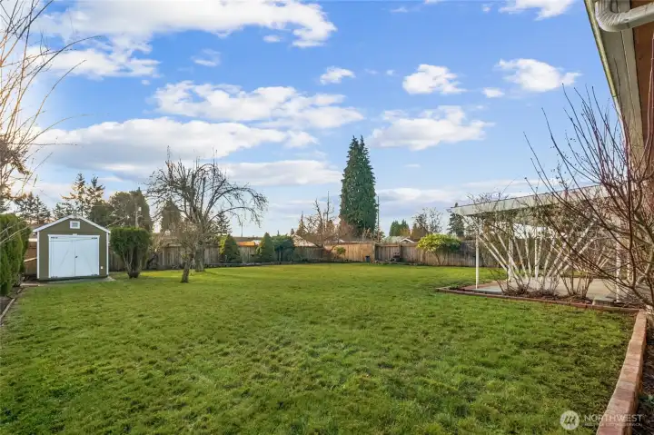 Wow - what a fun yard!