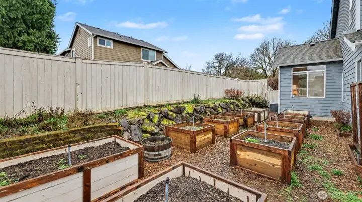 Huge raised bed garden