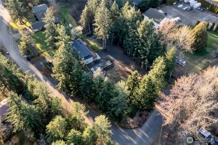 Great tree lined corner lot! Great tree lined corner lot!