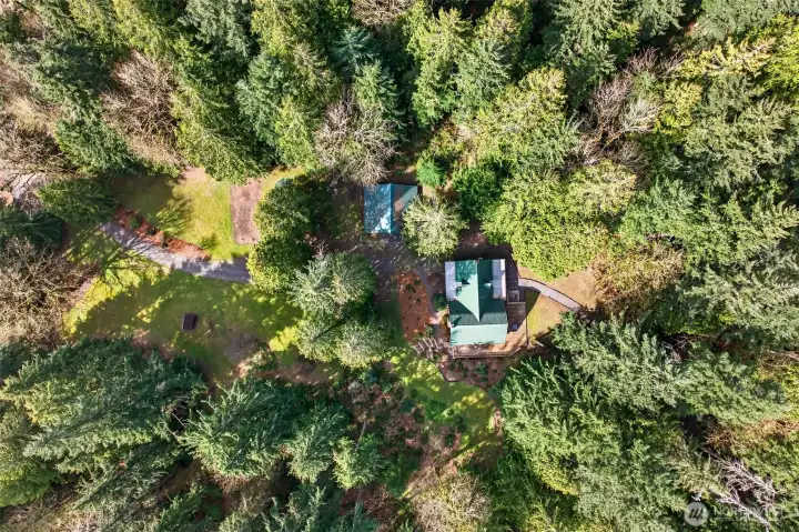 From directly above, the full scale of this woodland retreat comes into view — the iconic green-roofed log home and matching detached garage are nestled into an unbroken canopy of Pacific Northwest evergreens, offering a level of privacy and natural beauty that is truly rare at this price point.