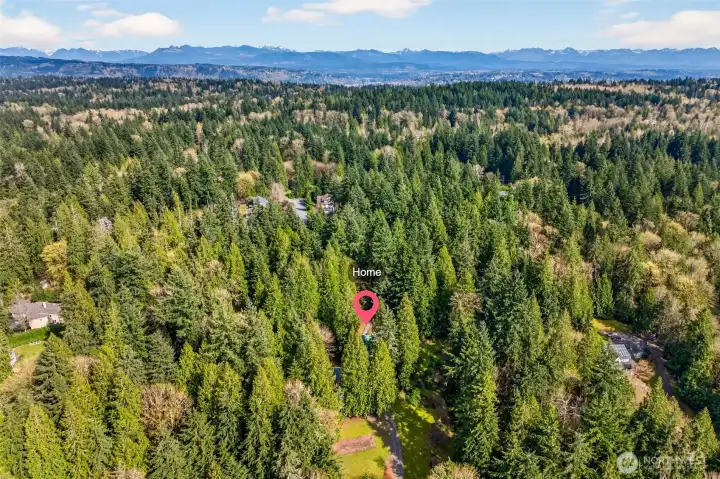 The property's commanding position within the Woodinville forest corridor is clear from the air — surrounded by a sea of evergreens with sweeping Cascade Mountain views on the horizon, this is a location that delivers both seclusion and the scenic grandeur of the Pacific Northwest.