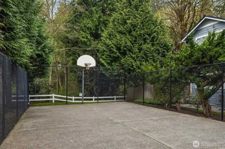 The community sport court