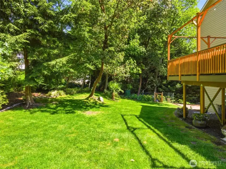 Private Backyard