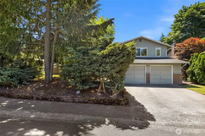 Home is tucked behind these beautiful evergreens which provides privacy and the PNW feel