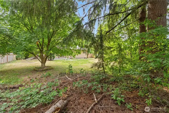 View from back of fence line towards house