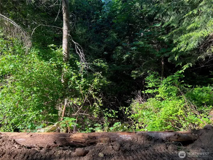 Nature at its best