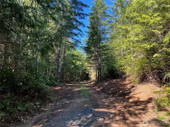 Road to cleared pad