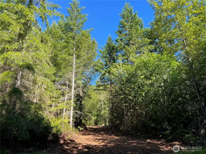 Road from cleared pad