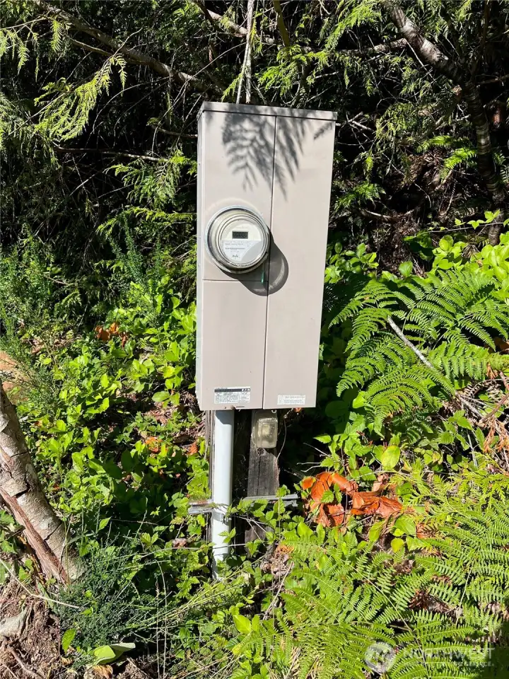 Electrical meter