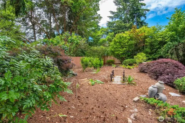 Back Yard Upper Area, could be a garden area