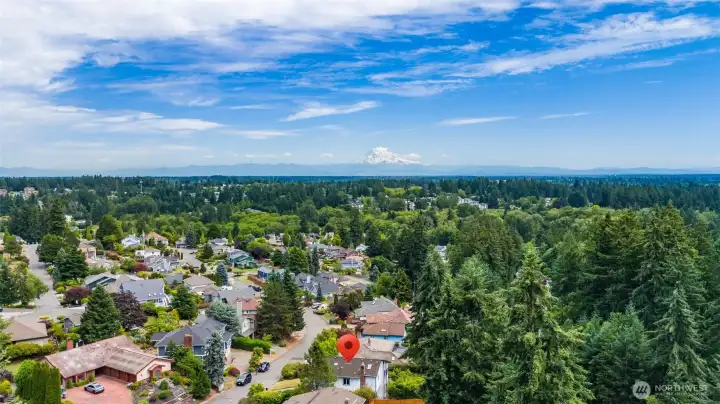 Aerial of Neighborhood and Mountain