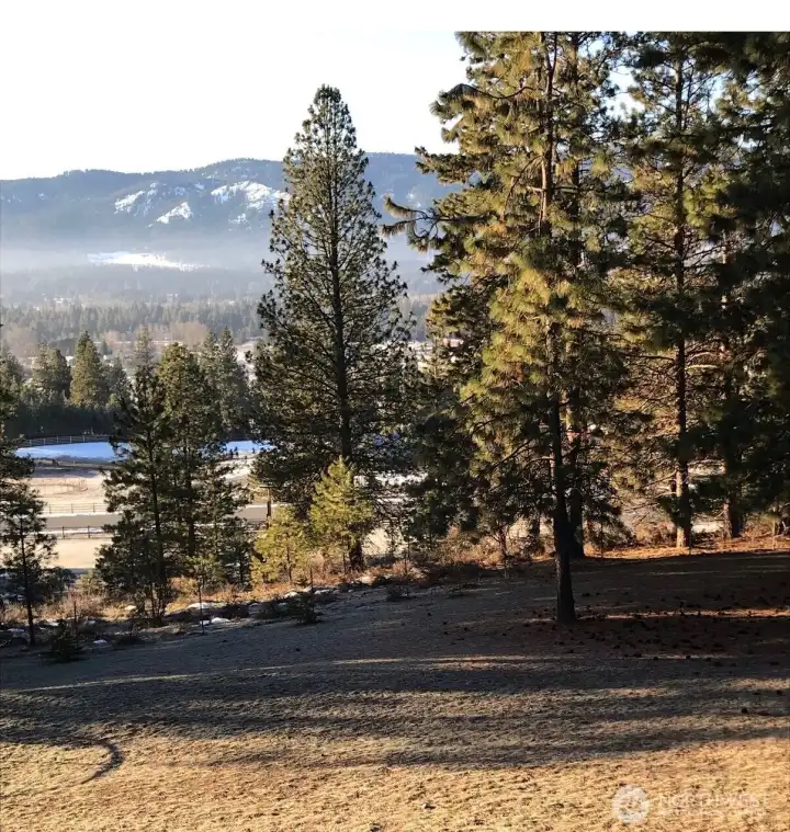 Come live at 1150 White Rd and enjoy best of Cle Elum. Come live at 1150 White Rd and enjoy best of Cle Elum.